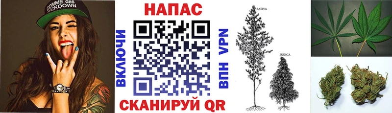 Канабис семена  наркошоп  Лысково 